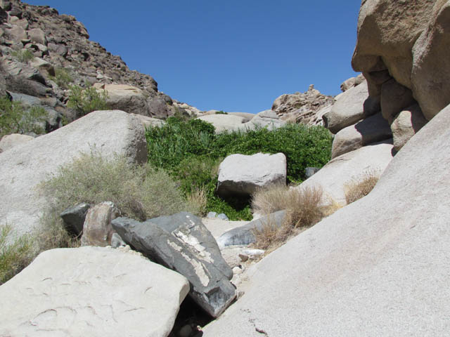 Rocky Area